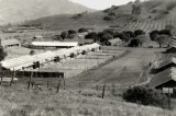Gage Hatchery on Indian Valley Road, circa 1930's