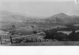 West Novato Chicken Ranches & Orchards circa 1930-32